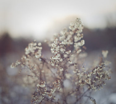 Jack Frost has been about