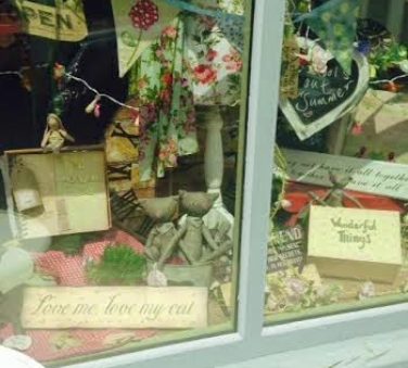 Summer Fairy lights and kitties